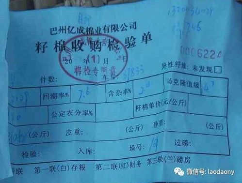 棉花 玉米 打瓜 葵花及其他農(nóng)產(chǎn)品交易價(jià)格一覽